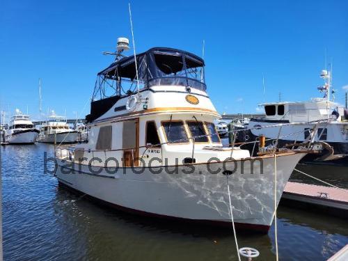 Marine Trader Trawler 34 avaliação e ficha técnica